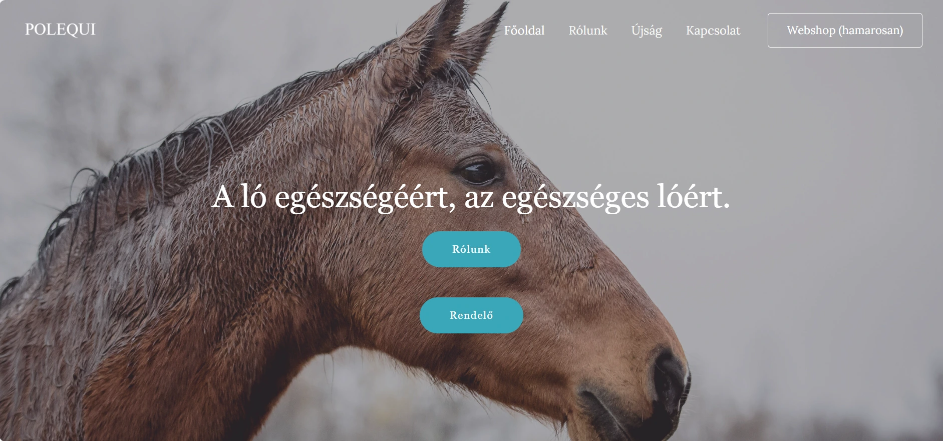 polequi.hu – céges weboldal